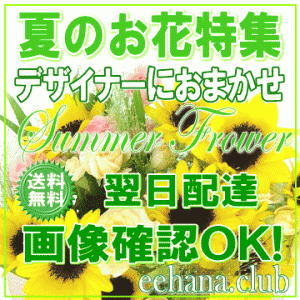 夏のお花！お得なデザイナーにおまかせフラワー20,000円 【送料無料】画像確認ＯＫ！15時まで即日配送