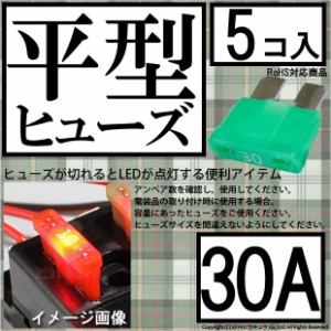 単 平型ヒューズ 30A 入数5個 1-A6-7