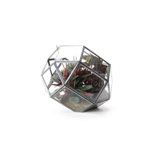 多肉植物 ガラス ケースの通販 Au Pay マーケット