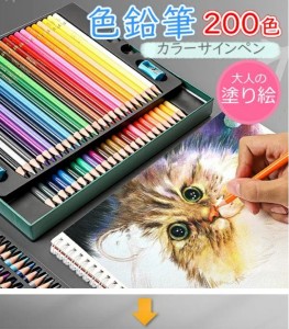 色鉛筆 お絵かき 200色セット プレゼント 油性 文房具 筆記具 絵の具セット カラーサインペン 入学 入園 祝い 画材 塗り絵 三五七プレゼ