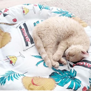 ペット ひんやり マット 犬 猫 ペット用品 夏用 冷感マット 寝具 暑さ対策グッズ 洗える 滑り止め加工 クール