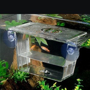 魚繁殖ボックス水族館ダブルグッピー孵化隔離ボックスボックス二層繁殖ボックス繁殖隔離ボックス多機能産卵箱育成用魚飼育水槽魚卵