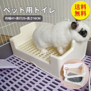 かわいい 白 チンチラ用ト小動物用 うさぎ用