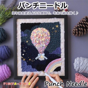 パンチニードル 材料道具キット 刺繍 手芸材料セット 刺繍枠 ニードルペン 図案 布セット 動画サポート 毛糸 初心者 ロシアン刺繍 立体感