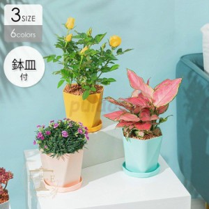 植木鉢 プランター おしゃれ 鉢植え 花 栽培 プレゼント ギフト 母の日 通販 かわいい ガーデニング ホワイト グレー ブルー グリーン ハ