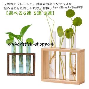 女の子の植木鉢装飾的なプランターコンテナホームリビングルーム
