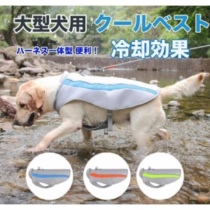 大型 犬用 クール ベストの通販｜au PAY マーケット