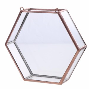 ガラスの幾何学的なテラリウムの箱多肉植物プランター壁のインテリア銅