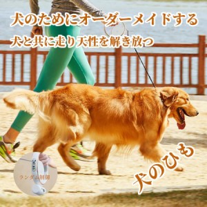 犬 リード 伸縮リード ロングリード 反射機能 おしゃれ 中型犬 大型犬 かわいい 犬用 おすすめ 定番 頑丈 反射 長い 散歩