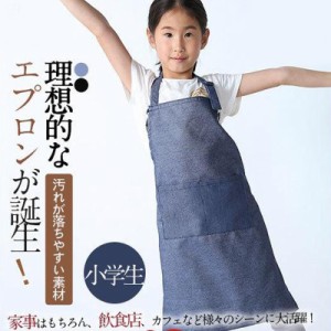 エプロン 割烹着 給食 子供 うわっぱり 小学生 胸当て 男の子 キッズ 女の子 ロング エプロン単品 無地 飲食店 料理 汚れ防止 小学校 サ