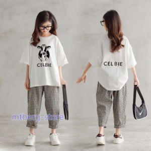 セットアップ 韓国子供服 ジャージ キッズ 女の子 上下セット 半袖 春夏 トップス Tシャツ ハーフパンツ 短パン スポーツウェア 部屋着 