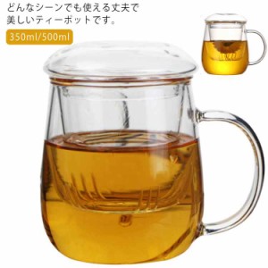 ティーポット 紅茶ポット プレゼント 大容量 350ml/500ml リーフティー 花茶 直火可 フルーツティー 茶こし付き 急須 麦茶 茶ポット 茶器