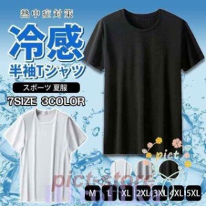 tシャツ メンズ 半袖 ドライ メッシュ 冷感 速乾 カットソー トップス  ストレッチ スポーツ ランキング アウトドア 夏 運動会 体育祭 父