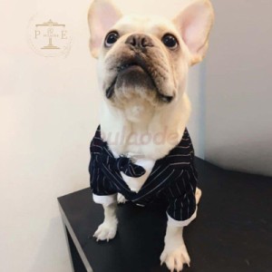 ペット服 犬服 ドッグウェア タキシード ストライプ 新郎 リボン ネックレス （S-Lサイズ）小型犬 結婚式 お祝い 記念パーティー 制服