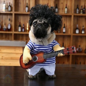 犬の服 猫の服 ハロウィンの仮装ギタリストが変な格好をしてギターの衣装を持つパグ犬がギャグでギターの服を弾く