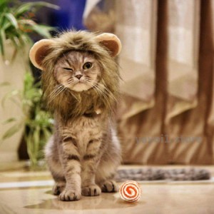 おしゃれ 猫用帽子 ボールが付き 猫かぶりもの 猫ぼうし コスプレキャップ ライオンに大変身 ペット用帽子 ペット用服 猫服 可愛さ100倍 