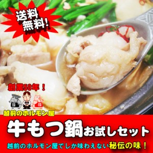 送料無料 専門店秘伝の味！牛もつ鍋お試しセット 2〜3人前 お一人様3セット限り！