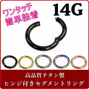 セグメントリング ワンタッチタイプ 【14G/1.6mm】チタン 軟骨ピアス（ボディピアス/ボディーピアス）