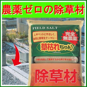 除草剤 草枯れちゃん 5kg ガーデニング 園芸 非農用地専用 無農薬除草材 除草材 雑草処理 雑草駆除 雑草防止 雑草 処理 除草 駆除 人 ペ