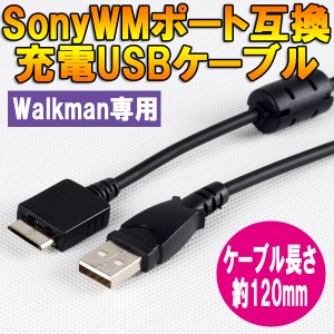 ウォークマン 充電器の通販｜au PAY マーケット