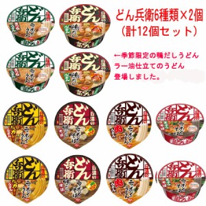 【日清食品】 どん兵衛 【日清どん兵衛】 シリーズ 6種類×2個(12食) セット 関東圏送料無料