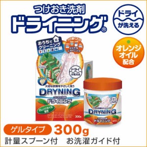 ドライクリーニング専用洗剤 つけおき洗剤　ドライニング　300g