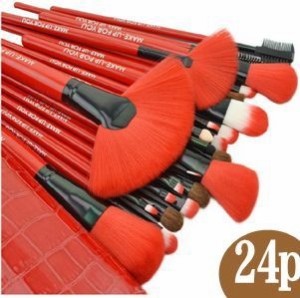 STZ-2413 メイクブラシセット 化粧ブラシセット 化粧筆 ブラシ収納ケース付き 24本セット