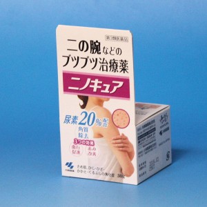 【第3類医薬品】ニノキュア 30g 尿素20% 二の腕などのブツブツ治療薬　　小林製薬