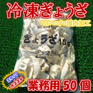 国内加工 冷凍 ぎょうざ 業務用 750g (50入) のし対応 お歳暮 お中元 ギフト BBQ お惣菜 