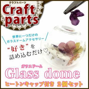 ガラスドーム 球型（6・8・10・14・16・20mm）キャップ付き 2個入