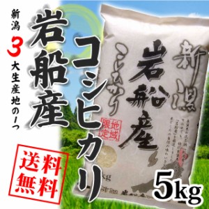 【令和5年産】岩船産コシヒカリ 5kg （5キロ×1袋） 【送料無料 ※沖縄別送2,200円】 米 5キロ 送料無料 精米 令和5年 5kg お米 5kg 安い