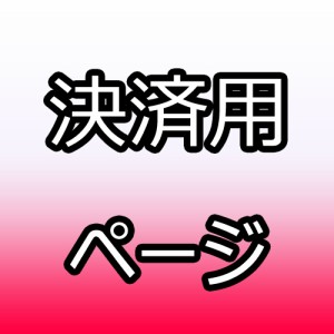 ※※決済のためのページとなります※※