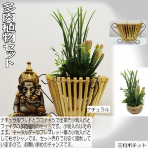 ココナッツトレイ 多肉植物セット アジアン雑貨 バリ雑貨 かわいい ギフト プレゼント ハンドメイド ナチュラル【送料無料】