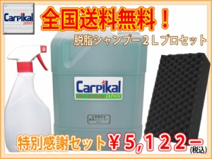 送料無料【業務用 脱脂シャンプー ２Ｌ プロセット】洗車 下地処理 車洗剤 ボディ脱脂 コーティング前