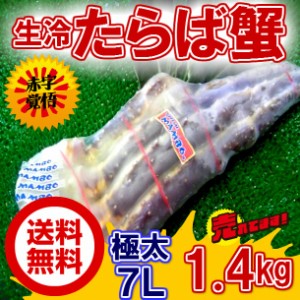 送料無料 超 特大 7Ｌ ‘生’ タラバカニ 足 約1,4kg のし対応 お歳暮 お中元 ギフト BBQ 魚介