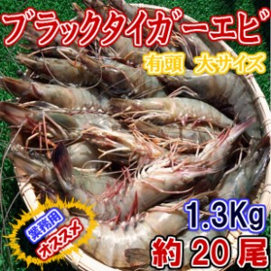 有頭 ブラックタイガー エビ 業務用 (約20尾) 1.3kg のし対応 お歳暮 お中元 ギフト BBQ 魚介