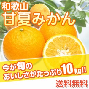 和歌山県産 訳あり甘夏みかん あまなつ ご自宅用 10kg( サイズ不揃い 傷シミ 汚れあり) みかんで有名な和歌山県より産地直送 送料無料 