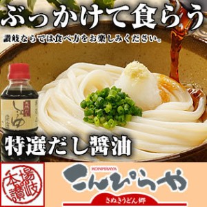 (送料無料)  本場 さぬきうどん 本格天然だし醤油ぶっかけうどん 【讃岐うどん16人前＆だし醤油500mlセット】 お中元 お歳暮 ギフト