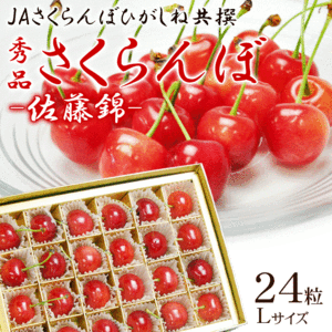 【6月中旬頃から出荷予定】　さくらんぼ　佐藤錦　24粒　秀品　Lサイズ　チョコ箱詰め　露地栽培　山形県産 / 沖縄.離島配送不可　roji