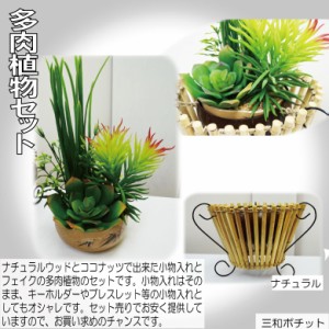 ココナッツトレイ 多肉植物セット アジアン雑貨 バリ雑貨 かわいい ギフト プレゼント ハンドメイド ナチュラル【送料無料】 082-777