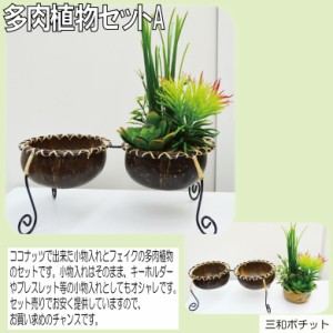 ココナッツトレイ ダブル 多肉植物セット アジアン雑貨 バリ雑貨 かわいい ギフト プレゼント オブジェ ハンドメイド 【送料無料】