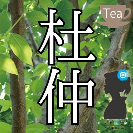 業務用 送料無料 特別価格！杜仲茶（とちゅう茶）2000g(2g×1000包)入り！ 赤字覚悟の大特価！