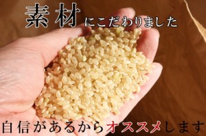 ◆令和5年度◆ 宮城県産 ひとめぼれ 玄米 10kg 未調整玄米 健康食 玄米食 米 玄米 10kg 