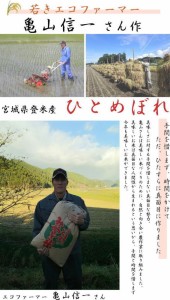 無洗米 25kg 令和5年産 送料無料 亀山信一さんが作った米 宮城県 登米産 ひとめぼれ 無洗米 25kg (5kg×5袋) デザインポリ袋 シェア まと