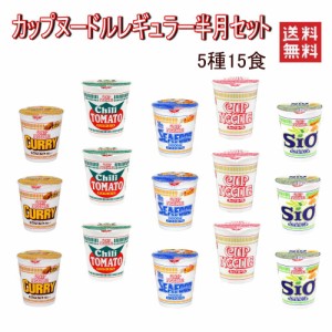 日清食品 カップヌードル レギュラーサイズ 半月セット 5柄 15食セット 関東圏送料無料