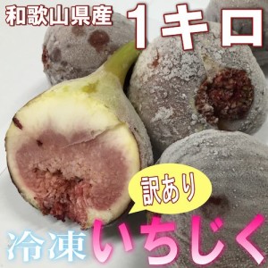 和歌山県産 訳あり 冷凍いちじく 1kg 【送料無料】＊8月中旬頃から入荷あり次第発送開始