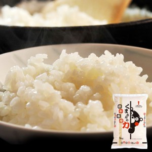 《送料無料》熊本県産　『くまさんの力』　白米 5kg　※常温 ○