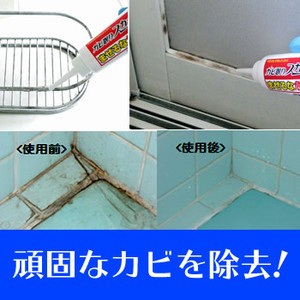 カビ取りスカット 100g×5個セット ゴムパッキン等のカビを除去！タイル目地、シャワーカーテン、小物類に発生したカビにも。