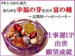 仕事・出世・願望成就★あらゆる幸福の芽が出るセット★ハッピーシード★置物・玄関★風水★アメジスト★パワーストーン★護符