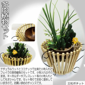 ココナッツトレイ 多肉植物セット アジアン雑貨 バリ雑貨 かわいい ギフト プレゼント ハンドメイド ナチュラル【送料無料】